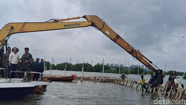 Penampakan Pagar Laut di Bekasi yang Ternyata buat Reklamasi