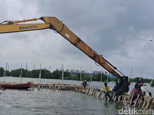 Penampakan Pagar Laut di Bekasi yang Ternyata buat Reklamasi Penampakan Pagar Laut di Bekasi yang Ternyata buat Reklamasi