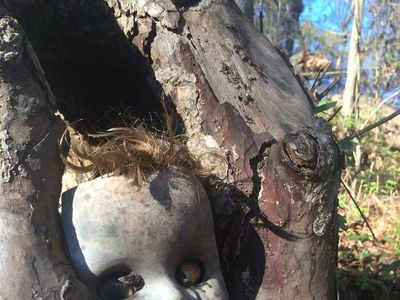 Kumpulan Hutan di Dunia yang Penuh Misteri Bikin Begidik
