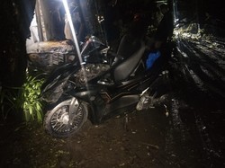 Pemotor Tertimpa Pohon Tumbang di Bontonompo Gowa, Korban Dilarikan ke RS