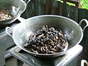 5 Kuliner Esktrem Khas Minahasa: Paniki Kelelawar hingga Tongseng Biawak 5 Kuliner Esktrem Khas Minahasa: Paniki Kelelawar hingga Tongseng Biawak