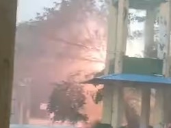 Pohon Tumbang di Area Kantor Dinkes Sulsel Timpa Kabel Listrik-Muncul Ledakan