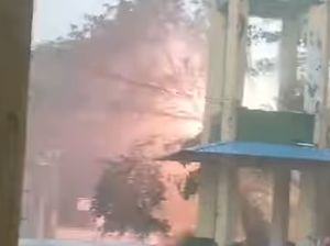 Pohon Tumbang di Area Kantor Dinkes Sulsel Timpa Kabel Listrik-Muncul Ledakan Pohon Tumbang di Area Kantor Dinkes Sulsel Timpa Kabel Listrik-Muncul Ledakan