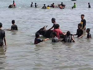 Mengintip Tradisi Rasol, Memandikan Sapi Usai Musim Tanam di Bawean Mengintip Tradisi Rasol, Memandikan Sapi Usai Musim Tanam di Bawean