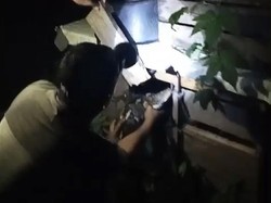 Warga di Enrekang Tangkap-Bunuh Ular Piton 4 Meter Usai Mangsa Ayam