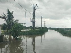 50 Hektare Padi-Tambak Udang di Lombok Tengah Terendam Banjir