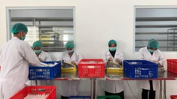 Tempe Bogor Melambung Tinggi, Ekspor ke 10 Negara Berkat BNI