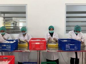 BNI Bantu Produsen Tempe Asal Bogor Tembus Ekspor ke 10 Negara BNI Bantu Produsen Tempe Asal Bogor Tembus Ekspor ke 10 Negara