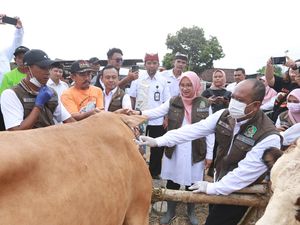 404 Ekor Ternak di Banyuwangi Terpapar Penyakit Mulut dan Kuku 404 Ekor Ternak di Banyuwangi Terpapar Penyakit Mulut dan Kuku