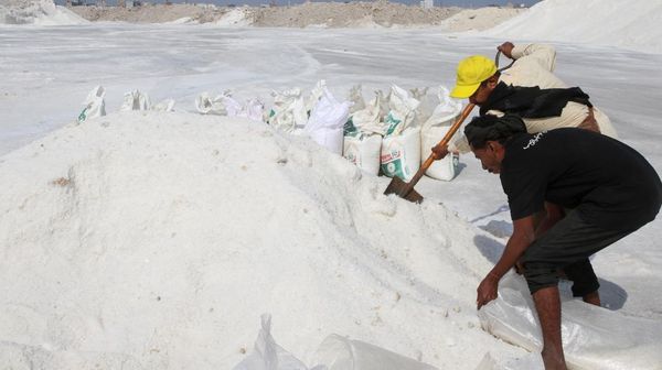 Geliat Produksi Garam di Kota Pelabuhan Kuno Yaman