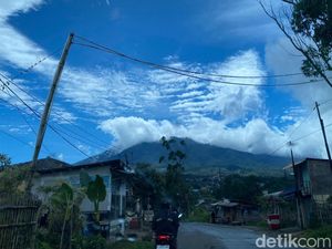 Pendakian Gunung Gede Pangrango Kembali Dibuka Pendakian Gunung Gede Pangrango Kembali Dibuka