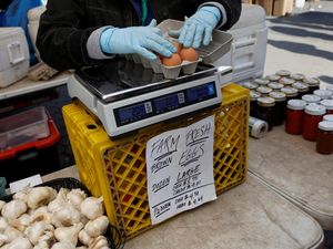Harga Telur di AS Melonjak Imbas Wabah Flu Burung Harga Telur di AS Melonjak Imbas Wabah Flu Burung