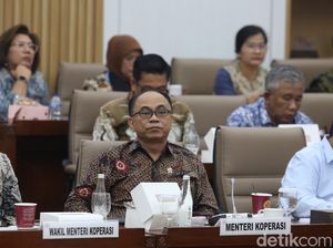 Menkop Sampaikan 1.235 Orang Penyuluh Bakal Kena PHK