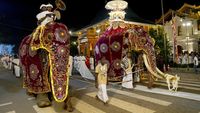 Parade Gajah Tahunan Ramaikan Ibu Kota Sri Lanka