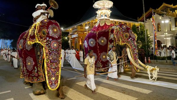 Parade Gajah Tahunan Ramaikan Ibu Kota Sri Lanka