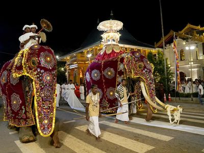 Parade Gajah Tahunan Ramaikan Ibu Kota Sri Lanka