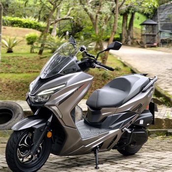 QJMotor Fort 250