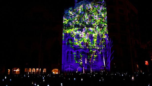 Keren! Video Mapping Sulap Gedung Jadi Hutan Digital