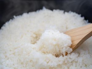 Ini Ciri Sekaligus Cara Mencegah Nasi Agar Tidak Cepat Basi Ini Ciri Sekaligus Cara Mencegah Nasi Agar Tidak Cepat Basi