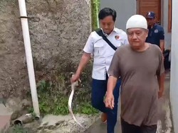 Geger Insiden Adik Bacok Kakak di Tasikmalaya, Polisi Turun Tangan