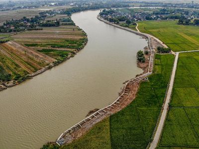 Duh! Proyek Tanggul Sungai Bengawan Solo di Bojonegoro Ambruk
