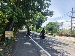 Jalan Nasional Denpasar-Gilimanuk Rusak, Perbaikan Tertunda karena Anggaran