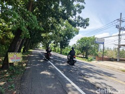 Jalan Nasional Denpasar-Gilimanuk Rusak, Perbaikan Tertunda karena Anggaran