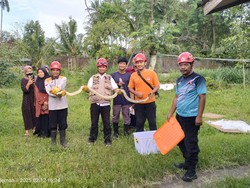 Hendak Mangsa Kelinci, Sanca 2 Meter Terjebak Jaring di Madrasah Ngemplak