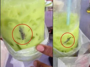 Beli Minuman Green Tea, Pelanggan Ini Dapet Bonus Belalang Beli Minuman Green Tea, Pelanggan Ini Dapet Bonus Belalang