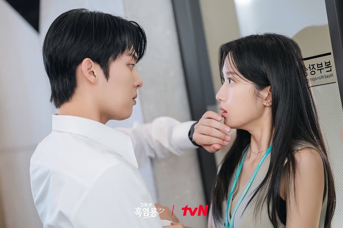 Drama Korea My Dearest Nemesis