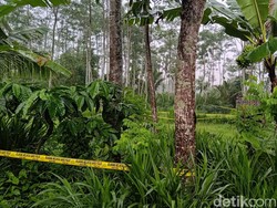 Siswi MI Korban Pembunuhan-Perkosaan Banyuwangi Kerap Temui Ortu Lewat Mimpi