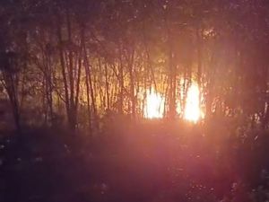 Sumur Minyak Ilegal di Batanghari Kembali Terbakar, 3 Penambang Luka Bakar Sumur Minyak Ilegal di Batanghari Kembali Terbakar, 3 Penambang Luka Bakar