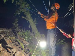 Rumah Warga Bogor Rusak Tertimpa Pohon Tumbang Akibat Angin Kencang