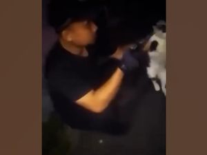 Video: Aksi Pria di Bandung Tembak Mati Kucing Berujung Ditangkap Polisi