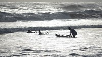 Sri Sultan Larang Wisatawan Mandi di Pantai Parangtritis, Ini Kata Pakar Laut