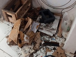 Polisi Periksa 2 Saksi Kasus Pencurian Alat Deteksi Gempa-Tsunami di Sidrap