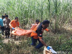 Heboh Warga Jekulo Kudus Temukan Mayat Tinggal Kerangka di Kebun Tebu Heboh Warga Jekulo Kudus Temukan Mayat Tinggal Kerangka di Kebun Tebu