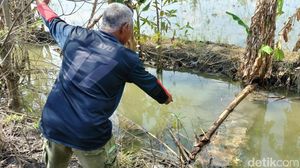 Irigasi Sawah Diduga Tercemar Limbah Pengeboran EP Sukowati Bojonegoro