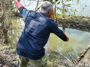 Irigasi Sawah Diduga Tercemar Limbah Pengeboran EP Sukowati Bojonegoro Irigasi Sawah Diduga Tercemar Limbah Pengeboran EP Sukowati Bojonegoro