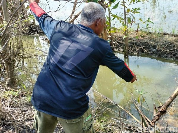 Irigasi Sawah Diduga Tercemar Limbah Pengeboran EP Sukowati Bojonegoro