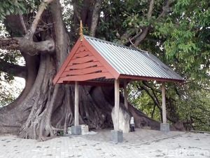 Kisah Raja Suku Mandar yang Dimakamkan Satu Liang dengan 14 Dayang-dayang Kisah Raja Suku Mandar yang Dimakamkan Satu Liang dengan 14 Dayang-dayang