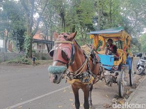 1.168 Delman-Becak di Jabar Bakal Diberi Kompensasi Rp3 Juta 1.168 Delman-Becak di Jabar Bakal Diberi Kompensasi Rp3 Juta