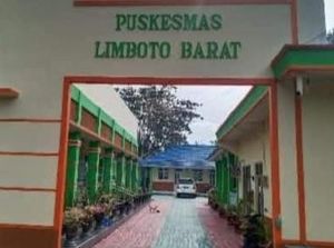 Geger Penemuan Bayi Perempuan Dalam Kardus di Jalan Raya GORR Gorontalo