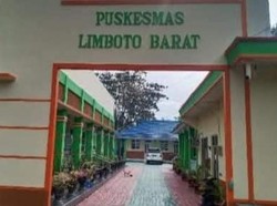 Geger Penemuan Bayi Perempuan Dalam Kardus di Jalan Raya GORR Gorontalo