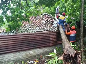 Hujan Disertai Angin Kencang Landa Tasik, Rumah Rusak Tertimpa Pohon