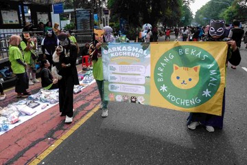 Kucing Jalanan Solo: Dari Terlantar Jadi Bintang di Tangan Penyayang