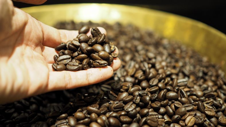Biji kopi