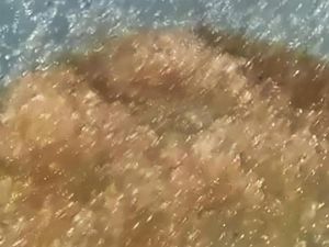Gaduh Hujan Jelly di Gorontalo Utara yang Ternyata dari Mainan Anak-anak Gaduh Hujan Jelly di Gorontalo Utara yang Ternyata dari Mainan Anak-anak