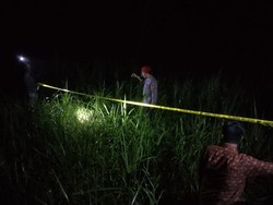 Petani Tewas Tersambar Petir di Kulon Progo