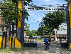 Setelah Hampir Sebulan Tutup, Pasar Hewan Lamongan Kembali Dibuka